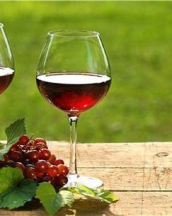 Rượu vang và hệ tiêu hóa: Tác động và lợi ích đối với sức khỏe