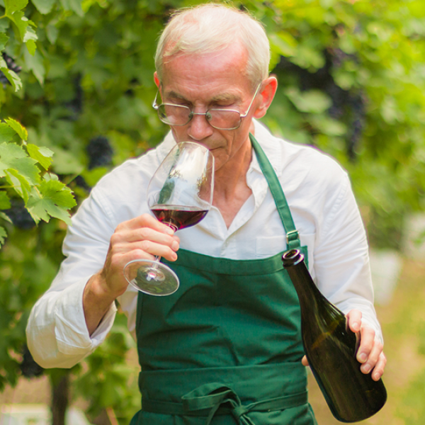 WINESTORY